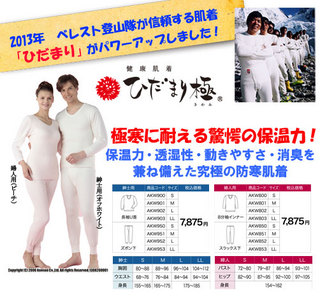 kiwami-page.jpg